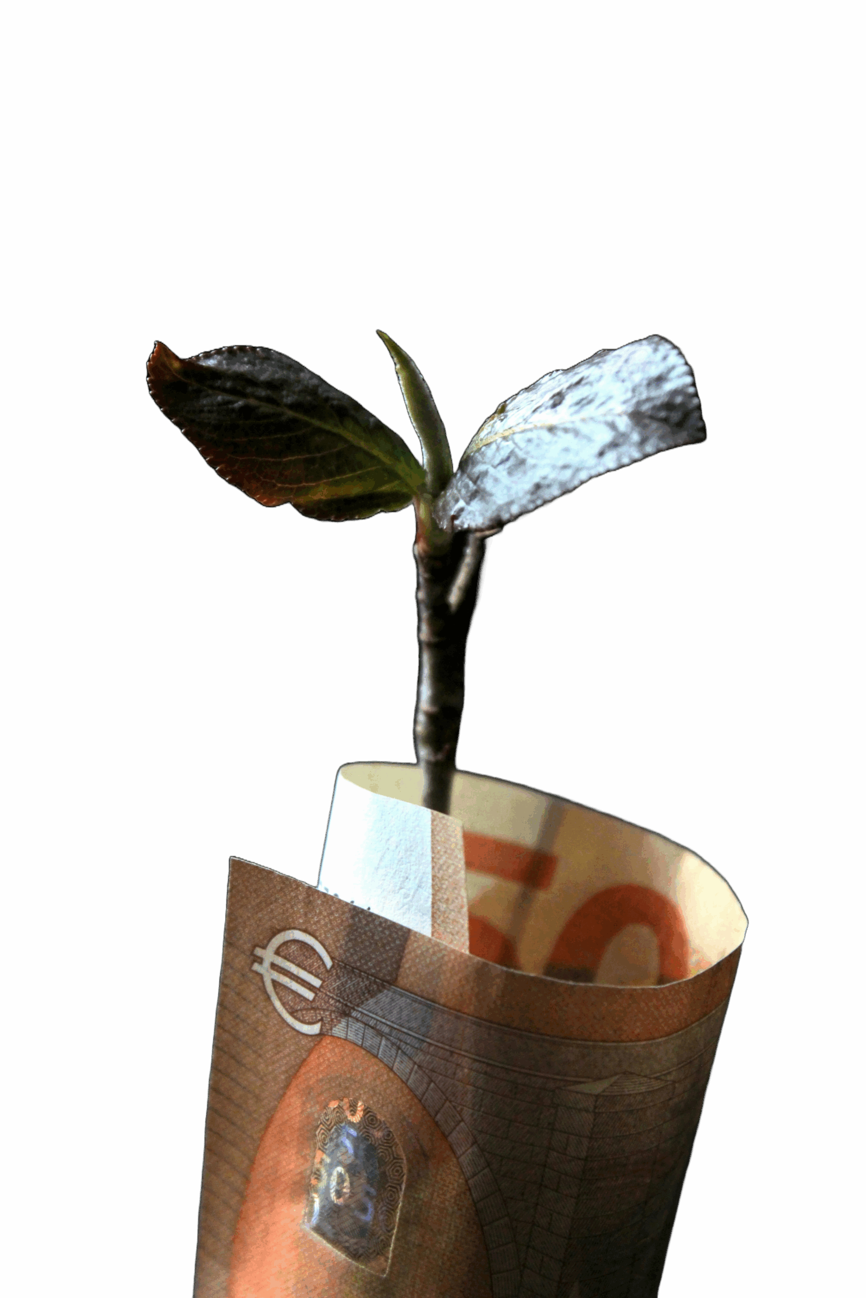 Investment Trading Strategies